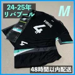 【正規品】ファンダイク 18-19シーズン PL フルパッチ 正規品】ファンダイク 18-19シーズン PL フルパッチ 正規品