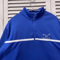 ナイキ スウェット 古着 青 NIKE ハーフジップ スポーツ スウッシュ