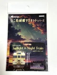 2025年最新】系統板マグネットの人気アイテム - メルカリ