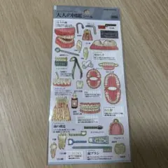 大人的圖鑑貼紙 牙齒篇