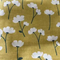 Item thumbnail for item 4568c156-94cd-445c-98e3-4ba3dc2a7f84