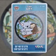 Item thumbnail for item 6d379495-7f8e-49e9-9214-d4bbe1ee0044