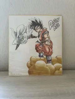 一番くじ ドラゴンボール 色紙 孫悟空 ピッコロ 色コレのサムネイル