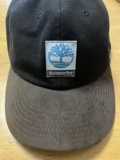 Item thumbnail for item bff308b8-a354-430a-87d6-c26eabe4f79d