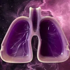 肺皿　灰皿　小物入れ