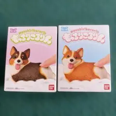 新品　もっちりころりん　おいぬ　ぷりぷりコーギー　レッドホワイト　トライカラーのサムネイル