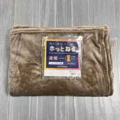 未使用品 西川 ほっとネル ニューマイヤー毛布 140 x200cm 2