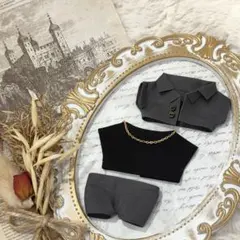 ぱうち☺︎様 リクエスト 2点 まとめ商品　10cmぬい服 12cmぬい服