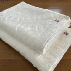 Item thumbnail for item 29976c54-18d7-4491-adfc-aa6932d8b905