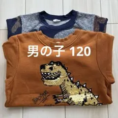 Item thumbnail for item b829e89d-8763-4d2d-8ee0-7be2134d84ab