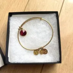 ALEX AND ANI ブレスレット
