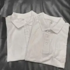 Item thumbnail for item a442ab48-f4a7-49a6-8764-94ce64e901a9