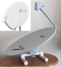 Item thumbnail for item 0b711e5f-7fca-4a99-95ea-e3781ff0bac7