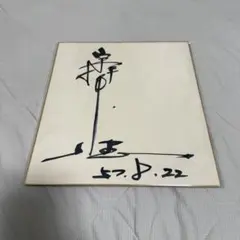 激レア】天野喜孝 直筆イラストサイン入り色紙 アールビバン公式