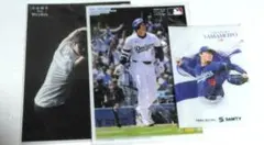 Item thumbnail for item 046d4c08-5b4e-493e-8fef-9aacb4dba5ee