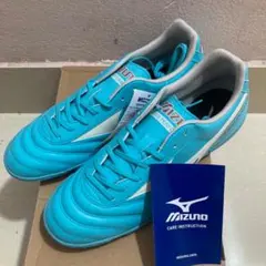 Item thumbnail for item 5eca705b-c9ed-4e60-b2cb-e5a9d1f2e0df