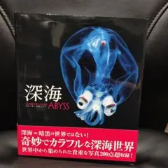 Item thumbnail for item 729bfe7c-d424-4e5b-9fd6-b543606bf48a