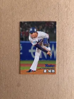Calbee 2026 プロ野球チップス 東京ヤクルトスワローズ 24 星知弥