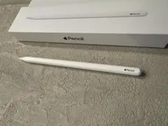 Apple Pencil 第2世代【ペン先新品交換済・条件付き動作保証あり】