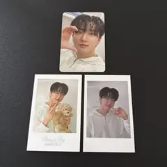 Stray Kids チャンビン シーグリ トレカ セット