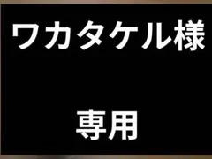 ワカタケル様 リクエスト 2点 まとめ商品