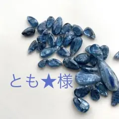 とも★様　専用ページです