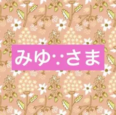 みゆさま専用☆。.:＊・゜