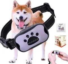 Item thumbnail for item 15781fe2-ca24-4cec-84e0-5af47af13003