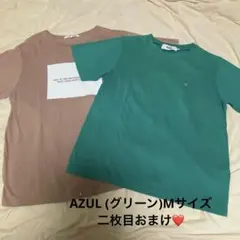 AZUL 半袖Tシャツ 2枚セット ブラウン グリーンのサムネイル