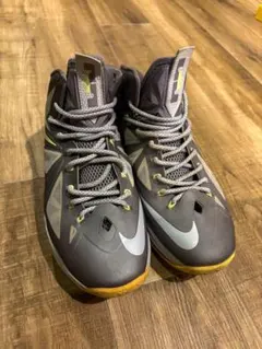 NIKE LEBRON X CanaryDiamond27.5cmジャンク観賞用