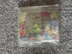 TWICE LOVELYS GUMMY & CHARM 정연