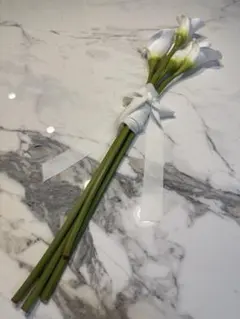 東京堂 MAGIQ カラー