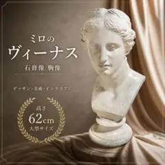 ミロのヴィーナス（面取）石膏像 60cm 美大デッサン用 状態良好 - メルカリ