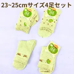 Item thumbnail for item 26461e58-0eb8-48d3-9884-a5935a4dc704