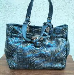 Item thumbnail for item b1b2f137-6e8e-4291-9fac-7b15455a4322