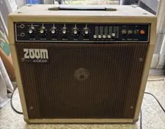レア】ZOOM AIDEAN MESIA MB-60 - メルカリ