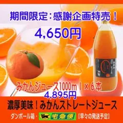 みかんジュース500ml×12本 感謝企画販売：濃厚美味！濃縮還元して