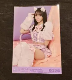 =LOVE イコラブ 野口衣織 7周年 猫衣装 封入 生写真