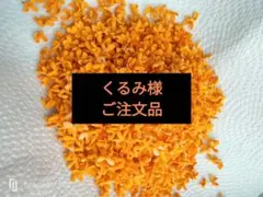 2025年最新】クルミ 苗の人気アイテム - メルカリ