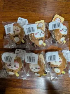 たぬきだもんくじC賞６点セット