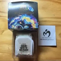 2025年最新】ゼンジン未到とヴェルトラウム ライトバンドの人気