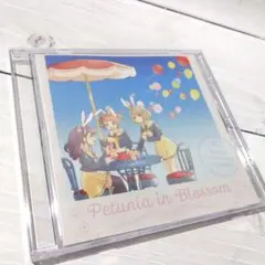 ☆美品☆ Petunia in Blossom / 雨上がりレコーズ