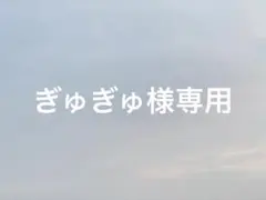 ぎゅぎゅ様専用