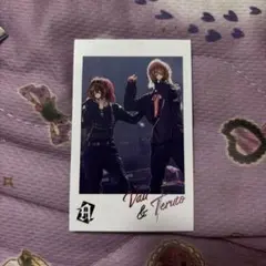 てるとくん、ばぁうくん フォトカ