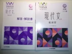 四訂版　プログレス　現代文総演習　発展編　いいずな書店　思考ノート、別冊解答編付 四訂版 プログレス 現代文総演習 発展編 いいずな書店 思考ノート