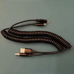 iPhone 充電ケーブル 2本 ライトニングケーブル カールコード