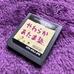 任天堂 ニンテンドーDS ソフト やわらかあたま塾