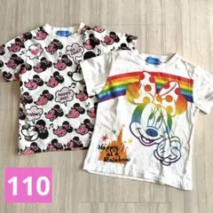 ディズニーリゾート Ｔシャツ2枚 ミニーちゃん 110