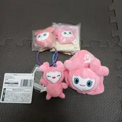 2025年最新】TWICE gigo モモの人気アイテム - メルカリ