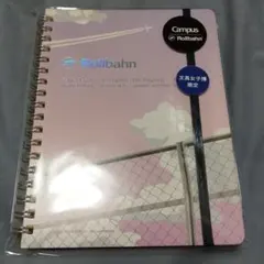 Item thumbnail for item 493d70f8-6844-4764-b437-59c73364cff3